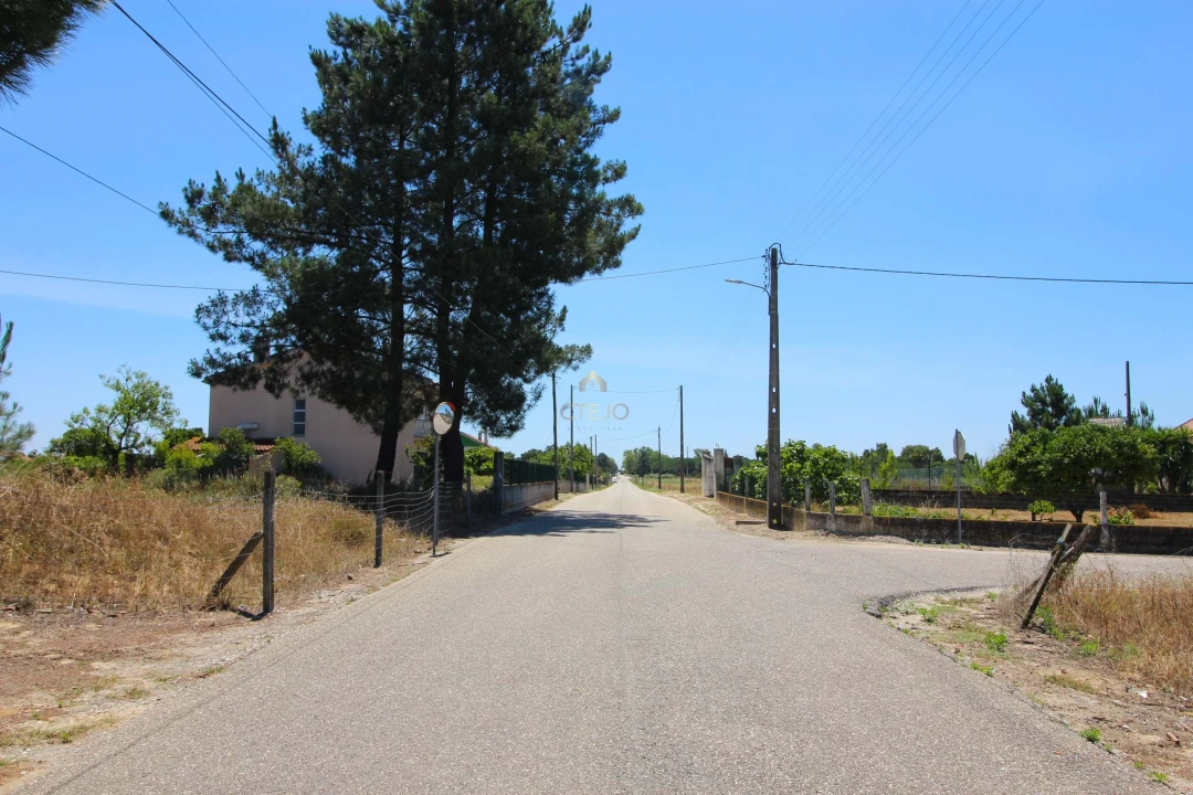 Quinta para Venda em Benavente Foto 2
