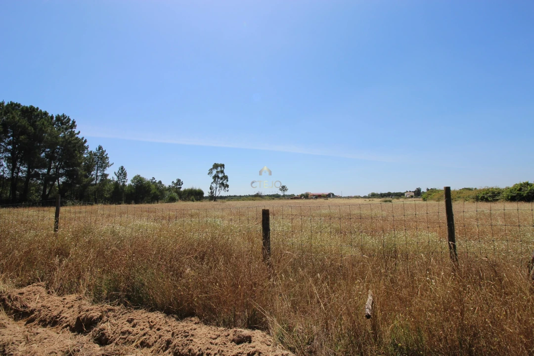 Quinta para Venda em Benavente Foto 20