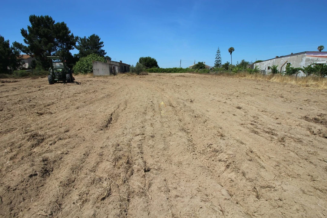 Quinta para Venda em Benavente Foto 46