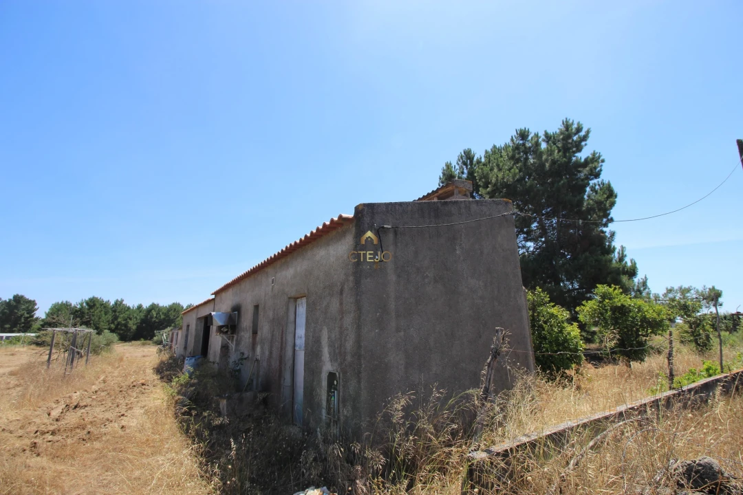 Quinta para Venda em Benavente Foto 30