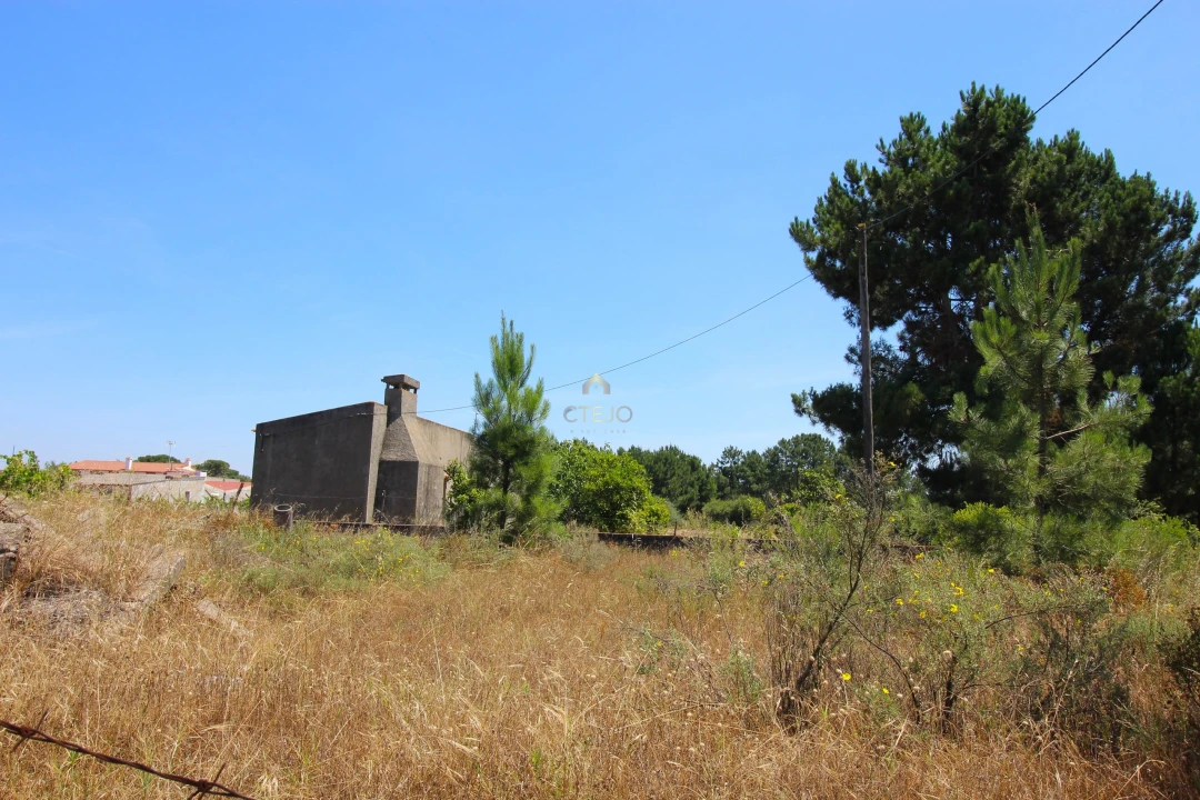 Quinta para Venda em Benavente Foto 15