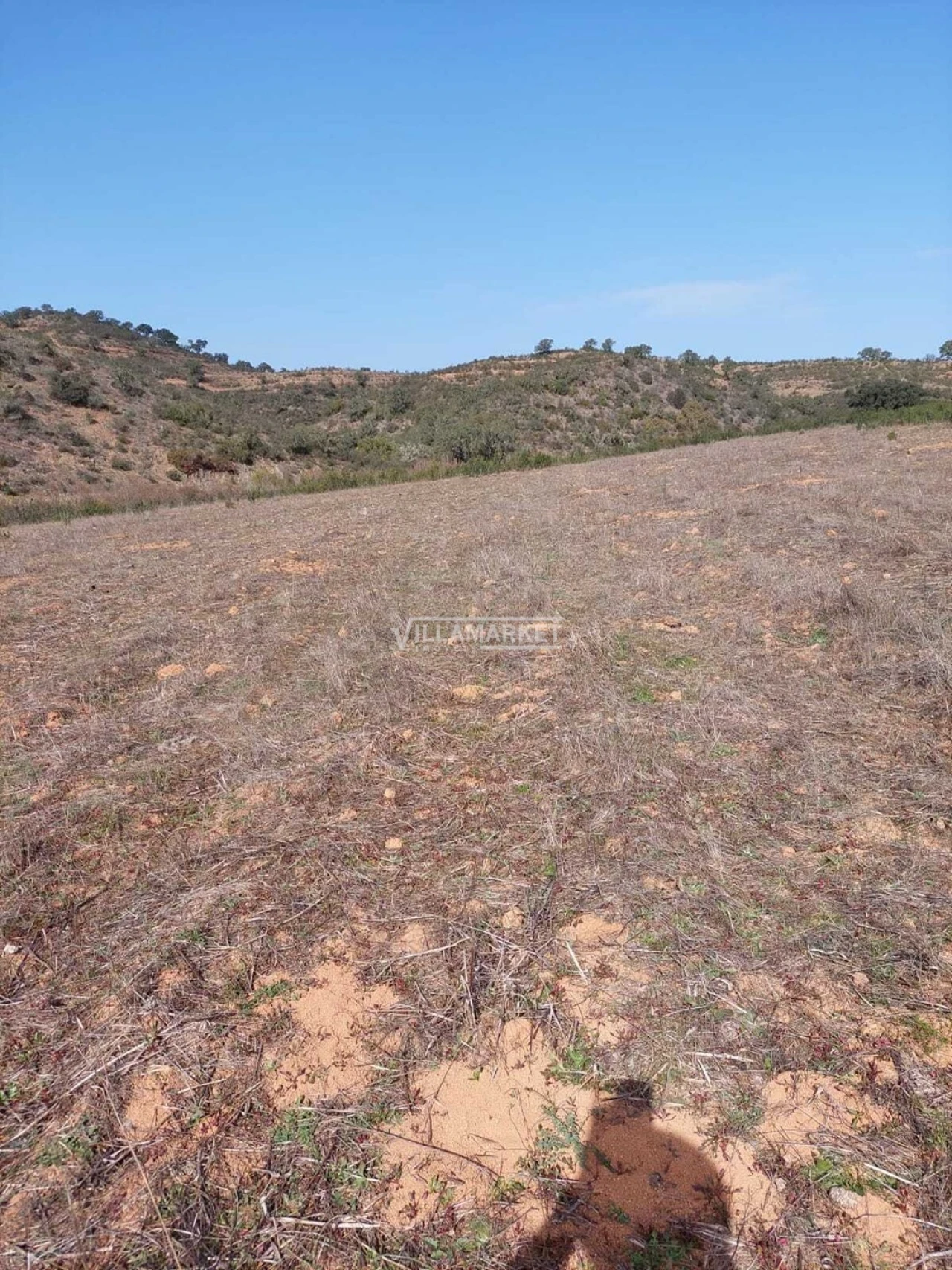 Terreno para Venda em Ourique Foto 10