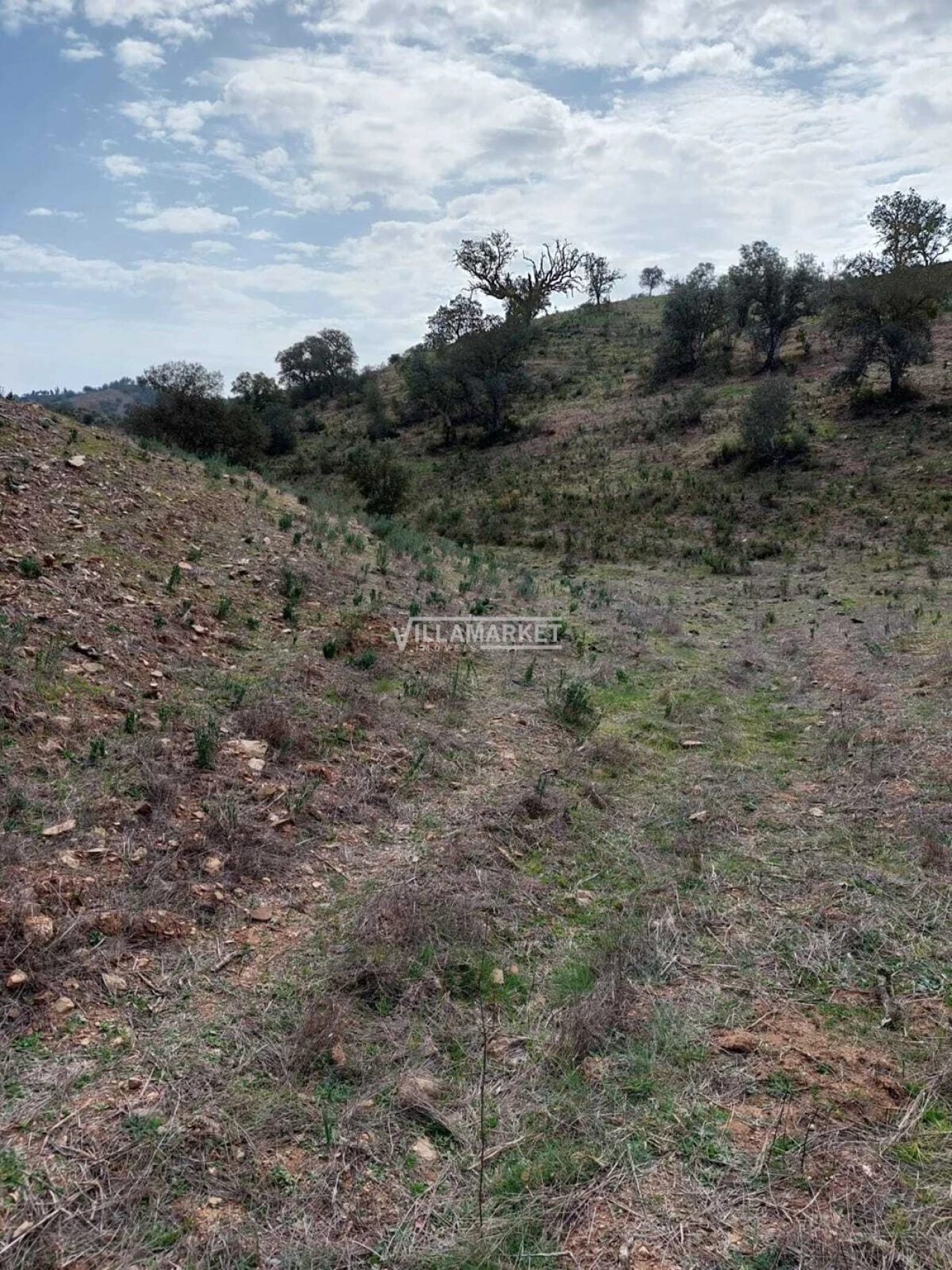 Terreno para Venda em Ourique Foto 7