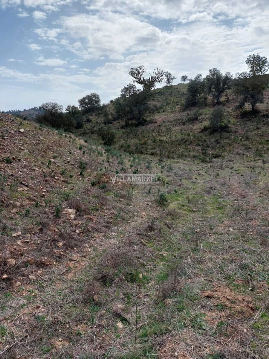 Terreno para Venda em Ourique Foto 7