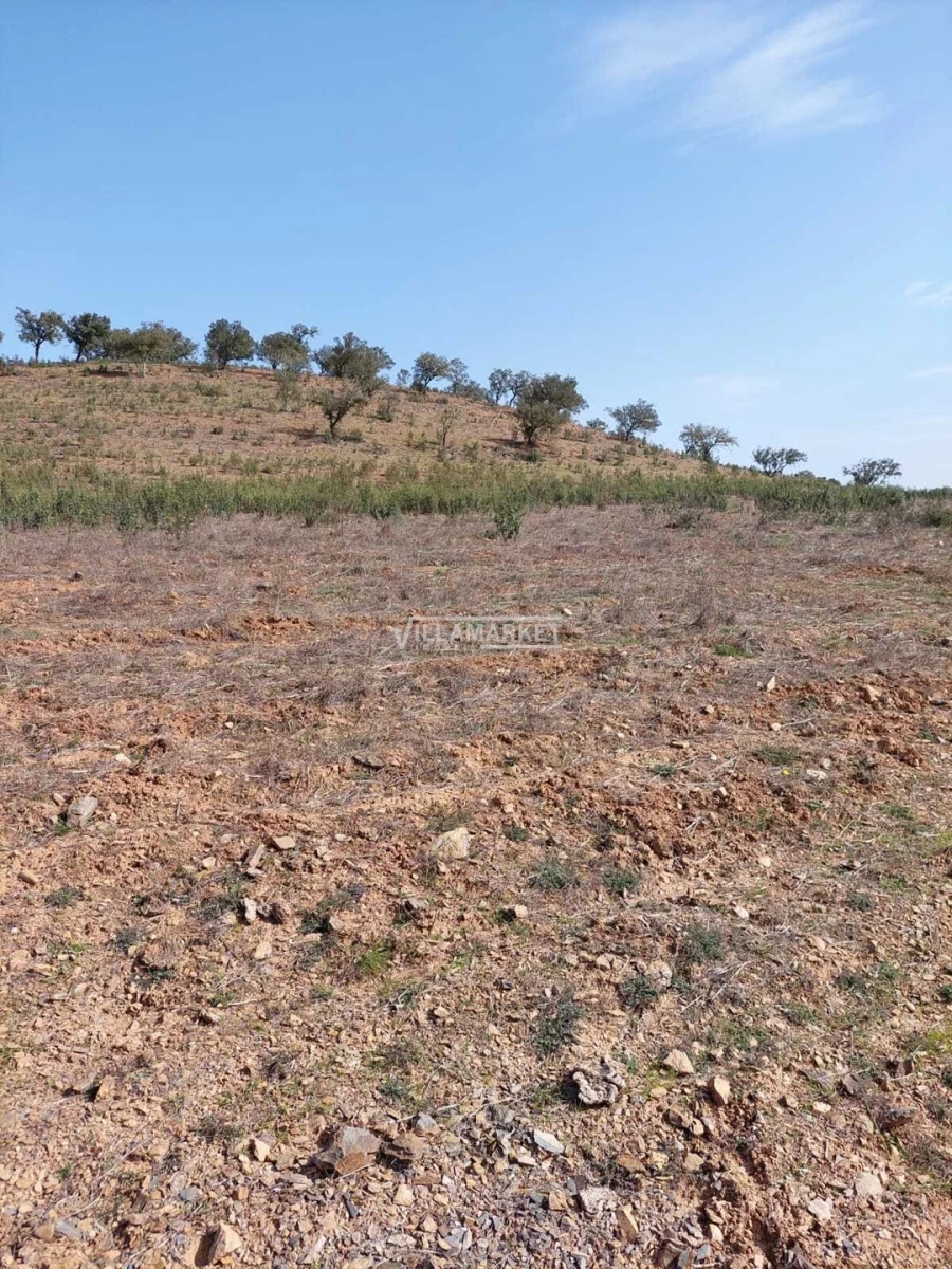 Terreno para Venda em Ourique Foto 5