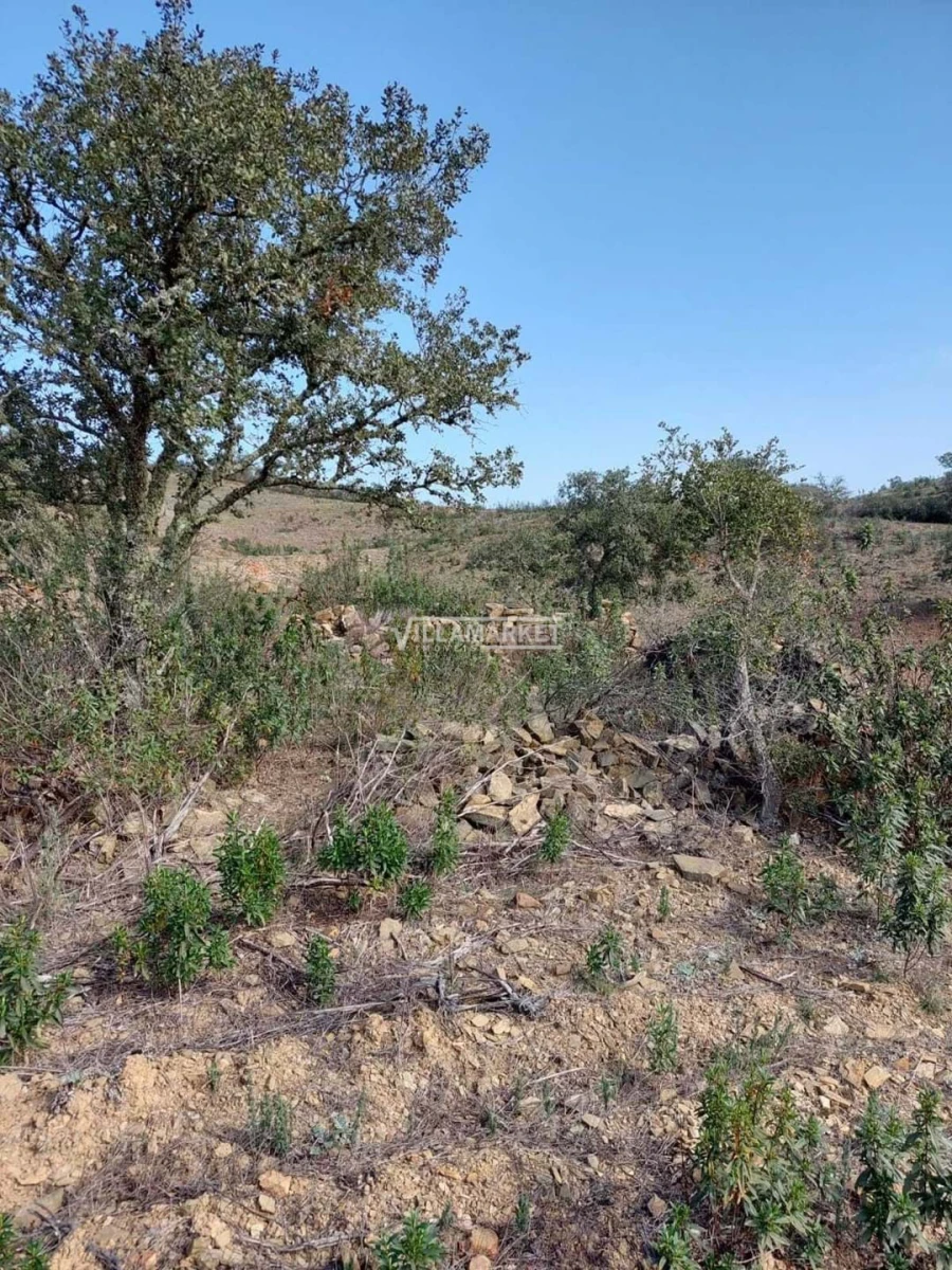Terreno para Venda em Ourique Foto 12