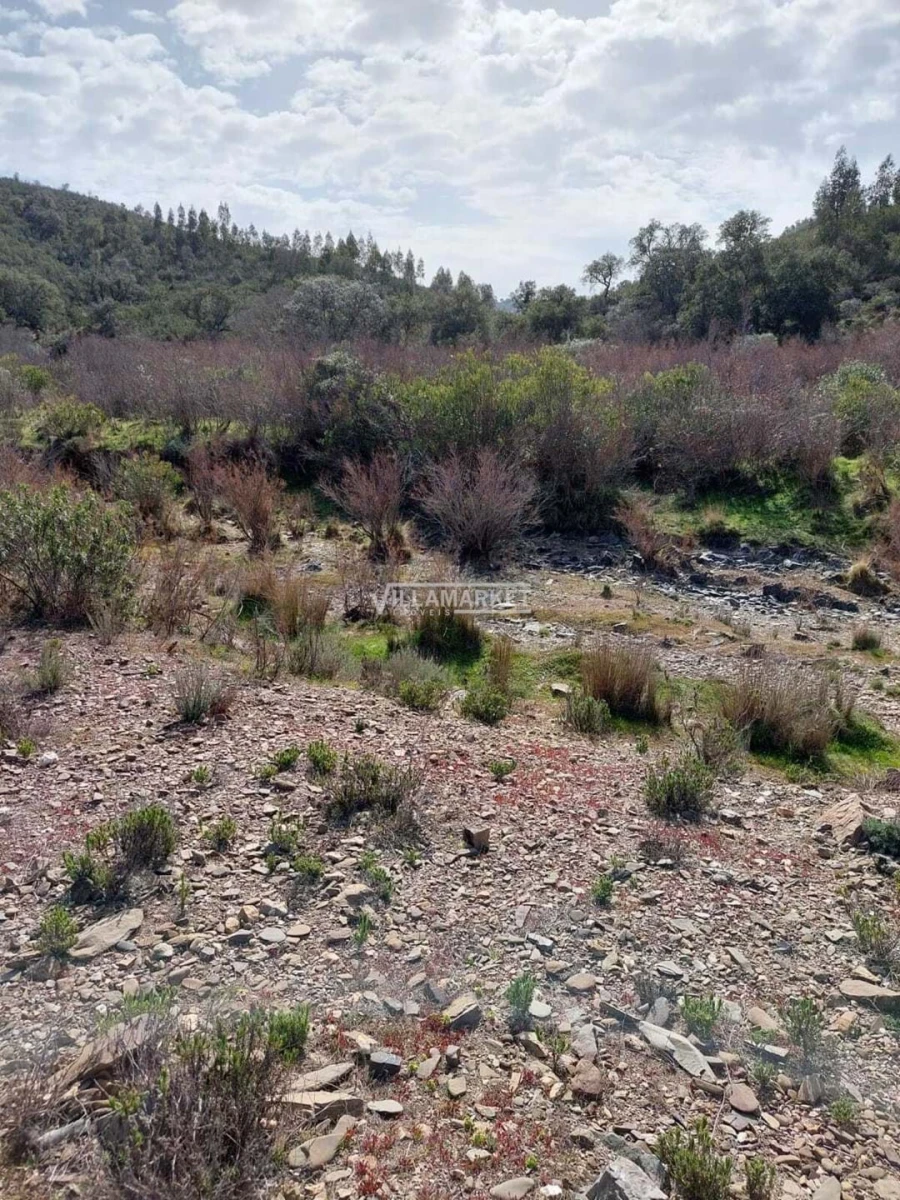 Terreno para Venda em Ourique Foto 9
