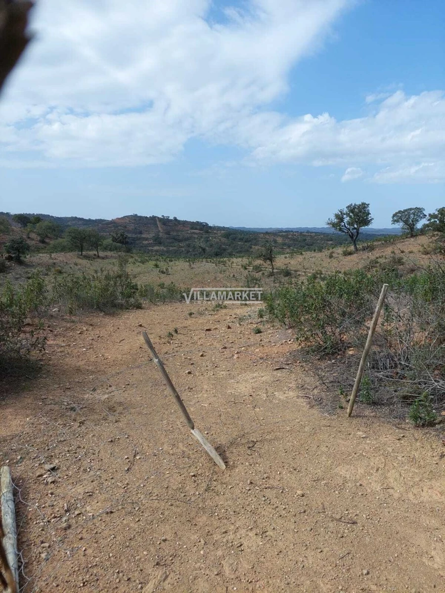 Terreno para Venda em Ourique Foto 4