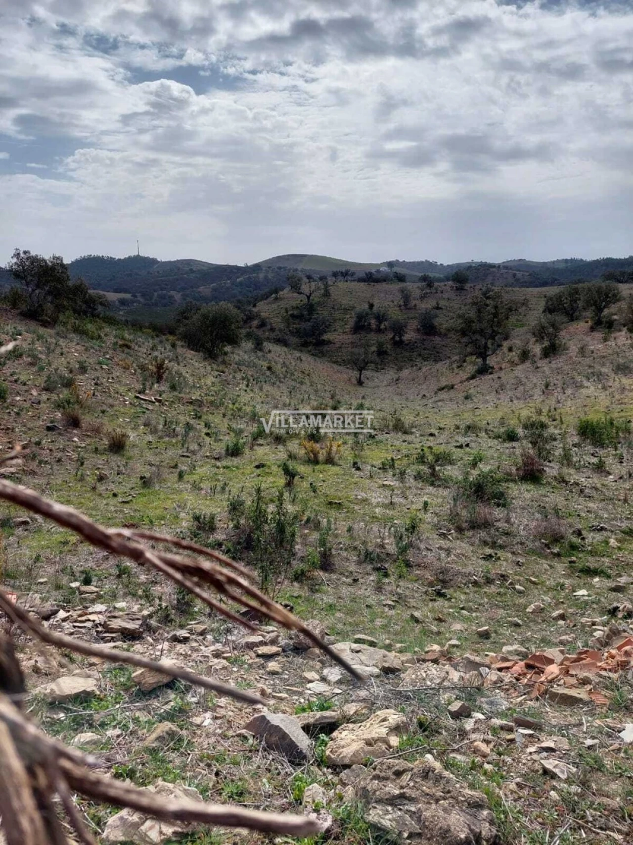 Terreno para Venda em Ourique Foto 6