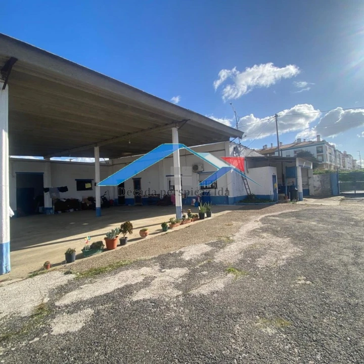 Quinta para Venda em Almeirim Foto 9