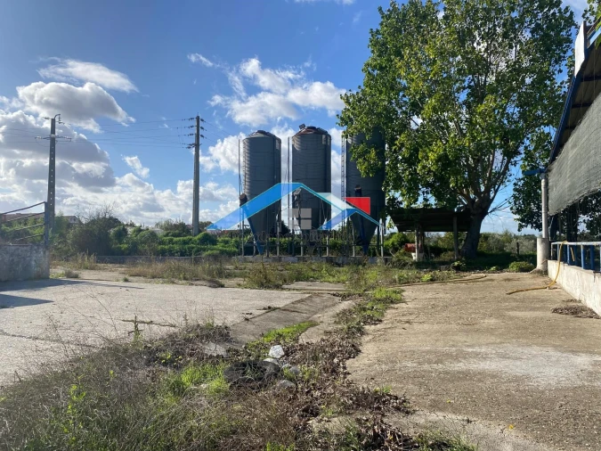 Quinta para Venda em Almeirim Foto 7