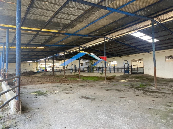 Quinta para Venda em Almeirim Foto 6