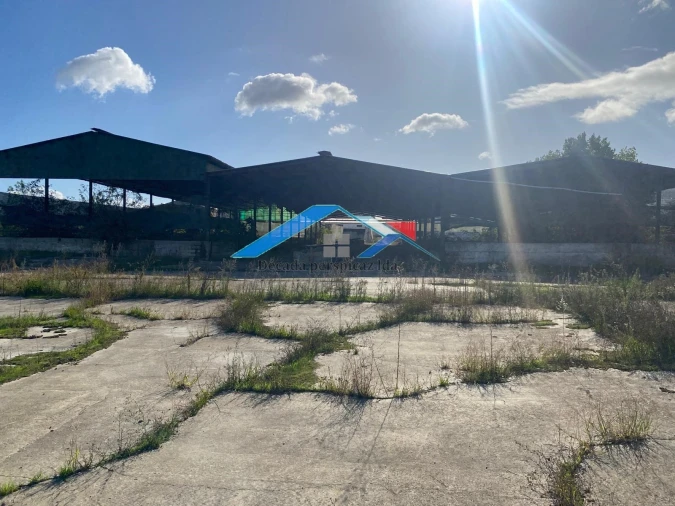 Quinta para Venda em Almeirim Foto 5