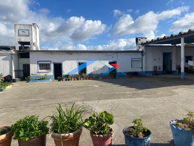 Quinta para Venda em Almeirim Foto 4