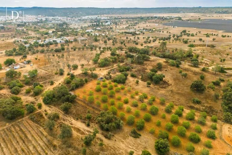 Moradia T6 para Venda em Silves Foto 9