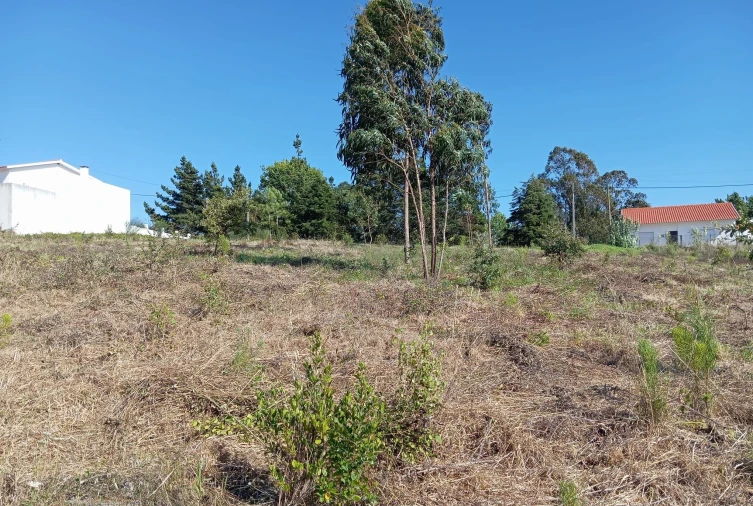 Terreno para Venda em Alvorninha Foto 3