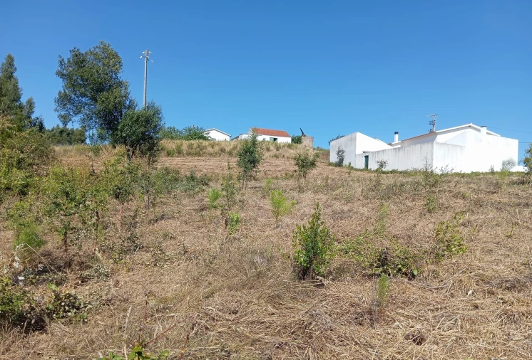 Terreno para Venda em Alvorninha Foto 7