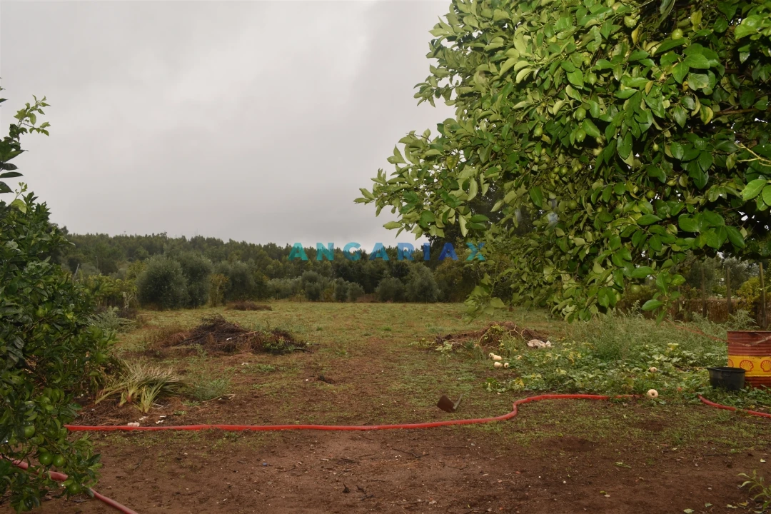 Moradia T3 para Venda em Figueiró dos Vinhos e Bairradas Foto 8