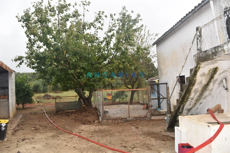 Moradia T3 para Venda em Figueiró dos Vinhos e Bairradas Foto 7
