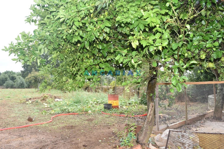 Moradia T3 para Venda em Figueiró dos Vinhos e Bairradas Foto 9