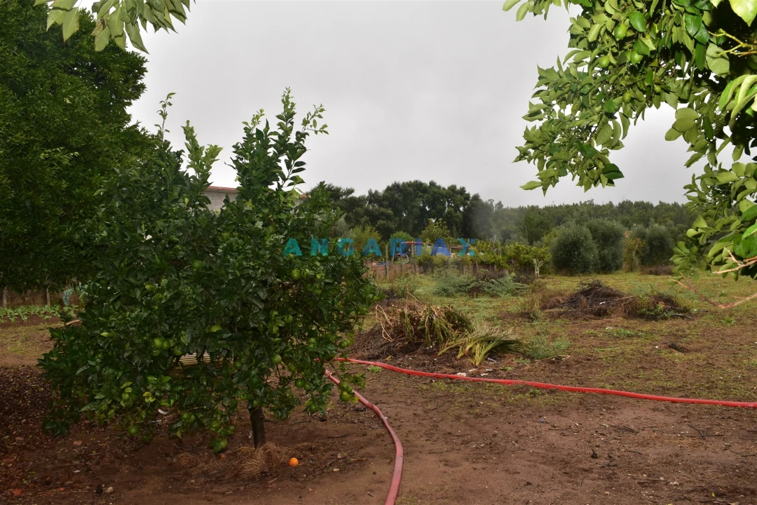 Moradia T3 para Venda em Figueiró dos Vinhos e Bairradas Foto 10