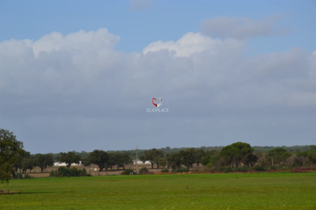 Terreno Agricola ou Rústico para Venda em Poceirão e Marateca Foto 27