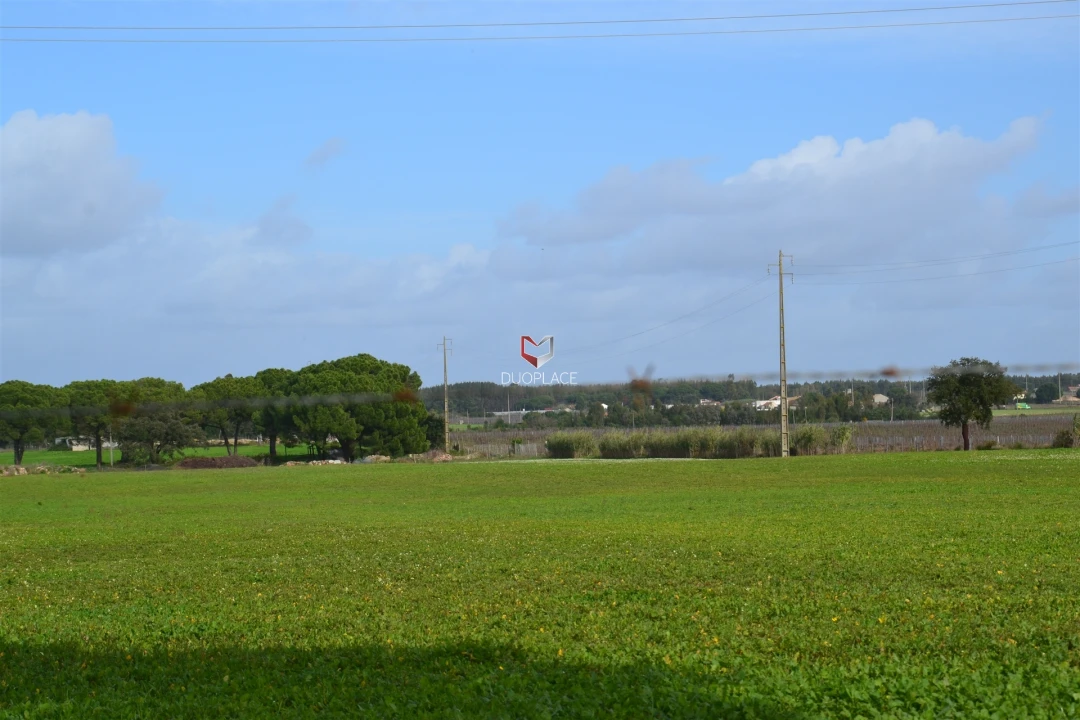 Terreno Agricola ou Rústico para Venda em Poceirão e Marateca Foto 17