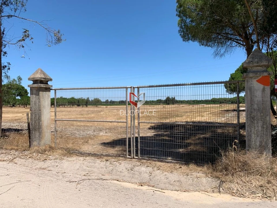 Terreno Agricola ou Rústico para Venda em Poceirão e Marateca Foto 36