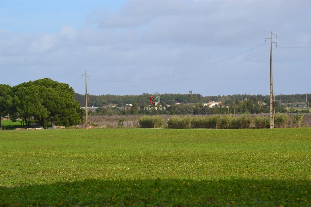 Terreno Agricola ou Rústico para Venda em Poceirão e Marateca Foto 20