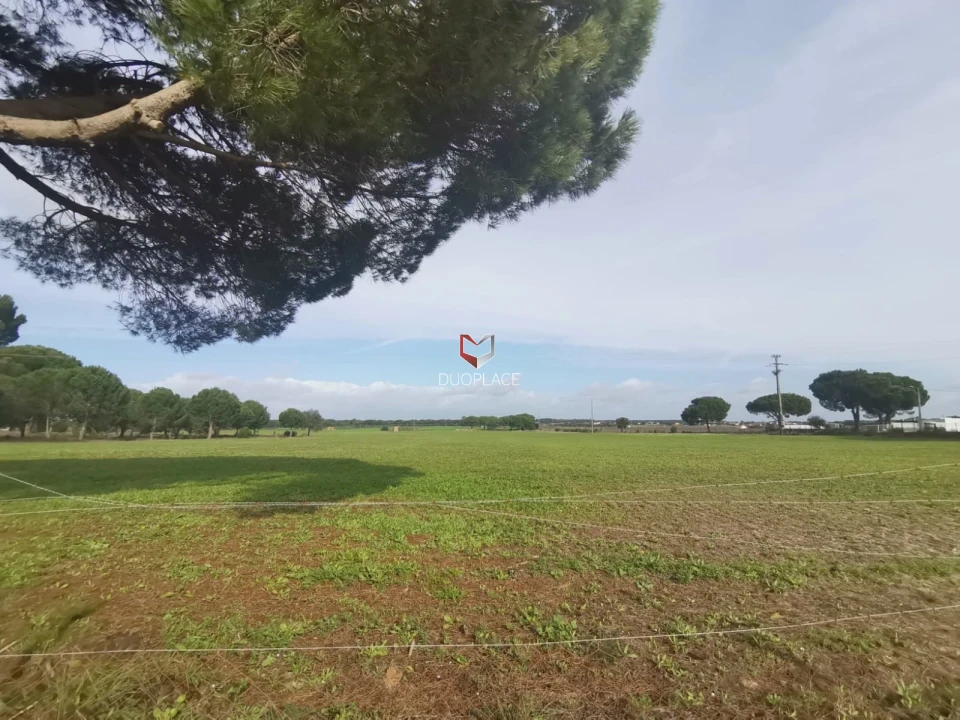 Terreno Agricola ou Rústico para Venda em Poceirão e Marateca Foto 39