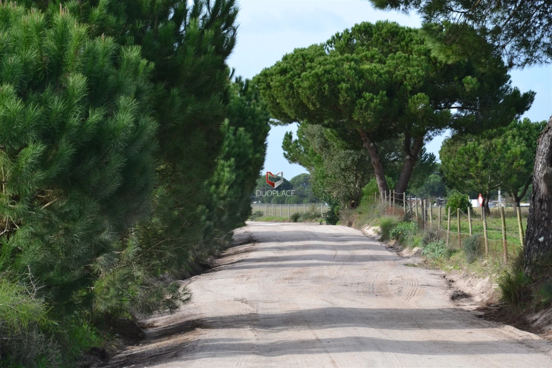 Terreno Agricola ou Rústico para Venda em Poceirão e Marateca Foto 13