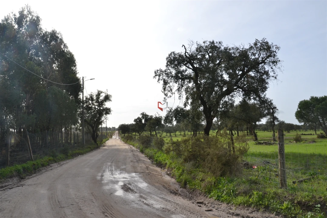 Terreno Agricola ou Rústico para Venda em Poceirão e Marateca Foto 3