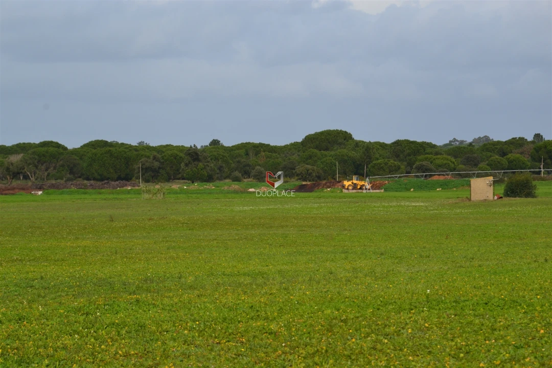 Terreno Agricola ou Rústico para Venda em Poceirão e Marateca Foto 12
