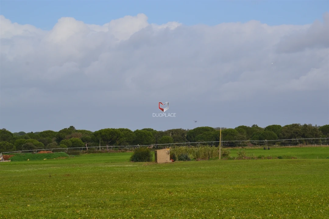 Terreno Agricola ou Rústico para Venda em Poceirão e Marateca Foto 15