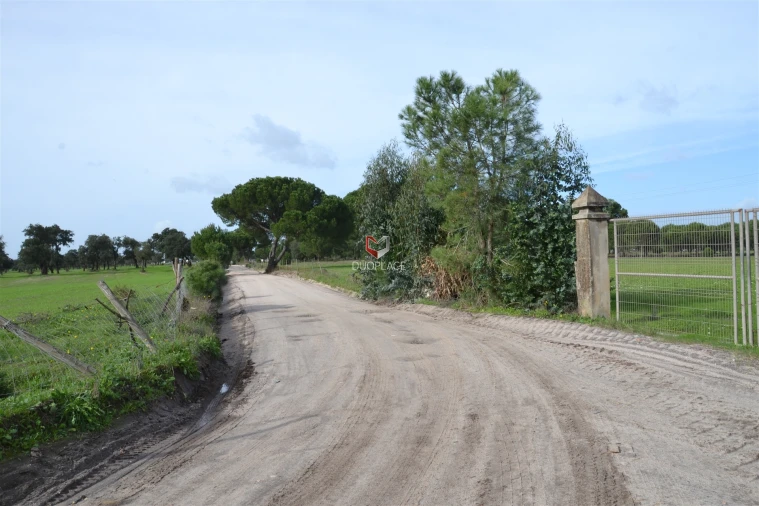 Terreno Agricola ou Rústico para Venda em Poceirão e Marateca Foto 2