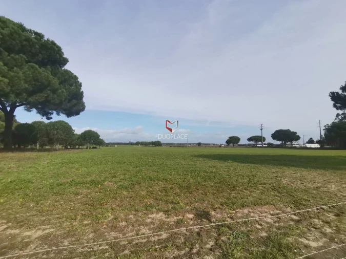 Terreno Agricola ou Rústico para Venda em Poceirão e Marateca Foto 37