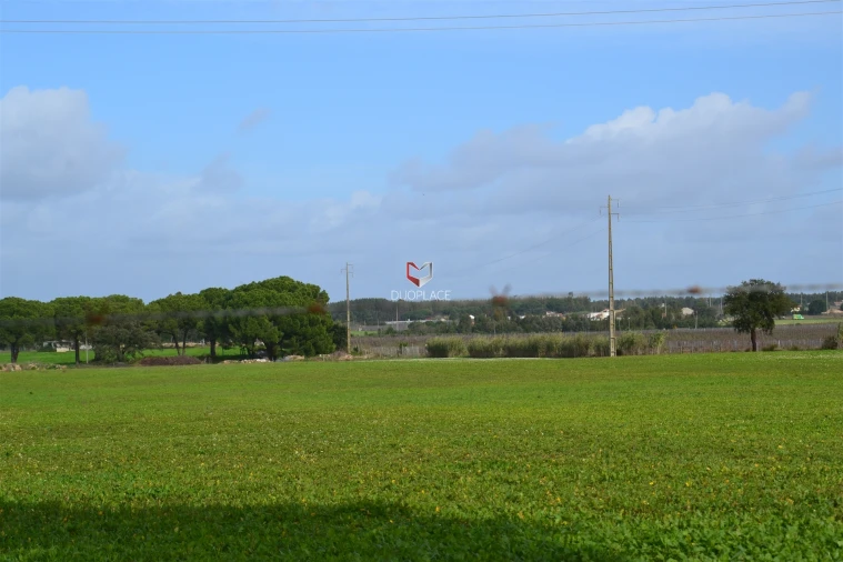Terreno Agricola ou Rústico para Venda em Poceirão e Marateca Foto 17