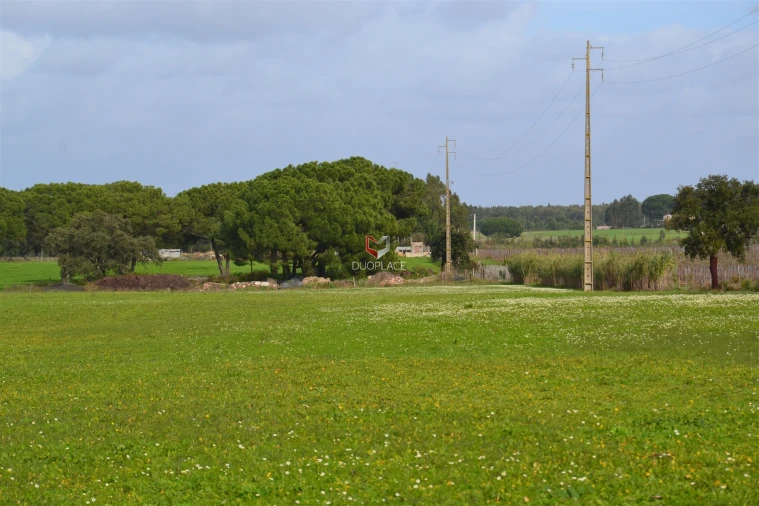 Terreno Agricola ou Rústico para Venda em Poceirão e Marateca Foto 11