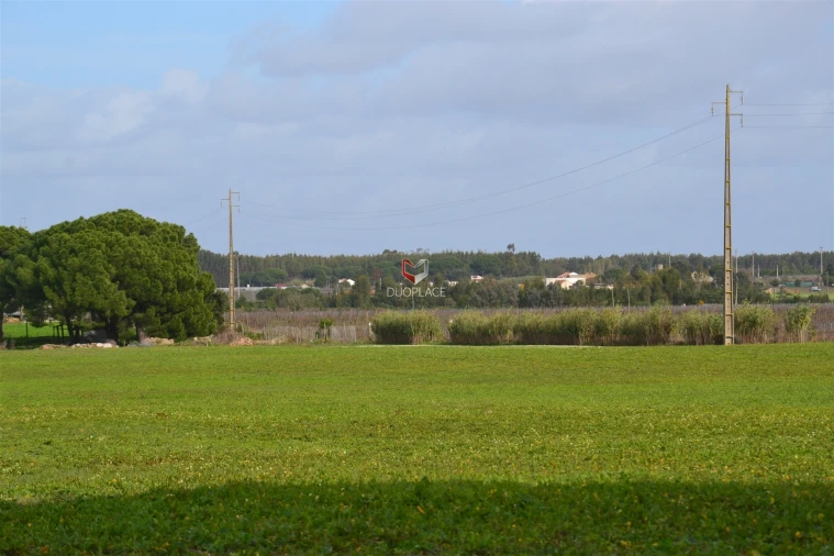 Terreno Agricola ou Rústico para Venda em Poceirão e Marateca Foto 20