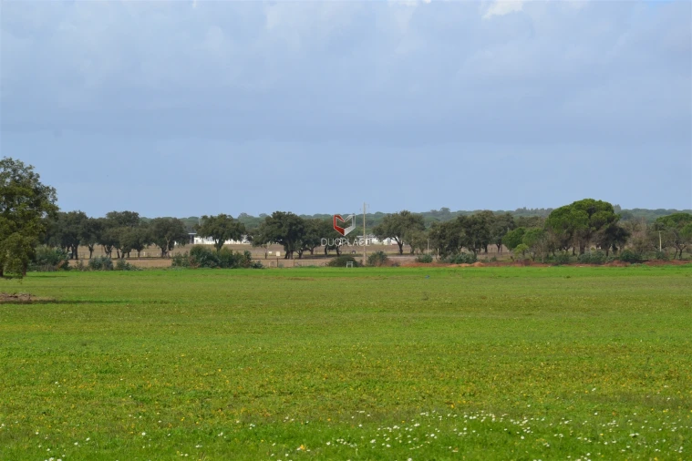 Terreno Agricola ou Rústico para Venda em Poceirão e Marateca Foto 29