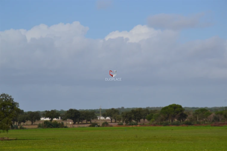 Terreno Agricola ou Rústico para Venda em Poceirão e Marateca Foto 26