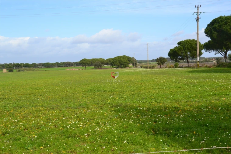 Terreno Agricola ou Rústico para Venda em Poceirão e Marateca Foto 7