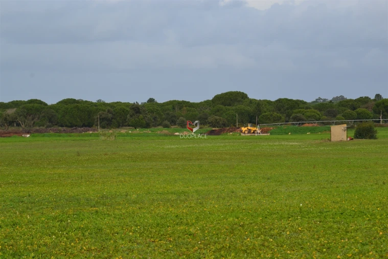 Terreno Agricola ou Rústico para Venda em Poceirão e Marateca Foto 12