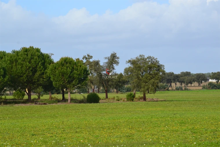 Terreno Agricola ou Rústico para Venda em Poceirão e Marateca Foto 28