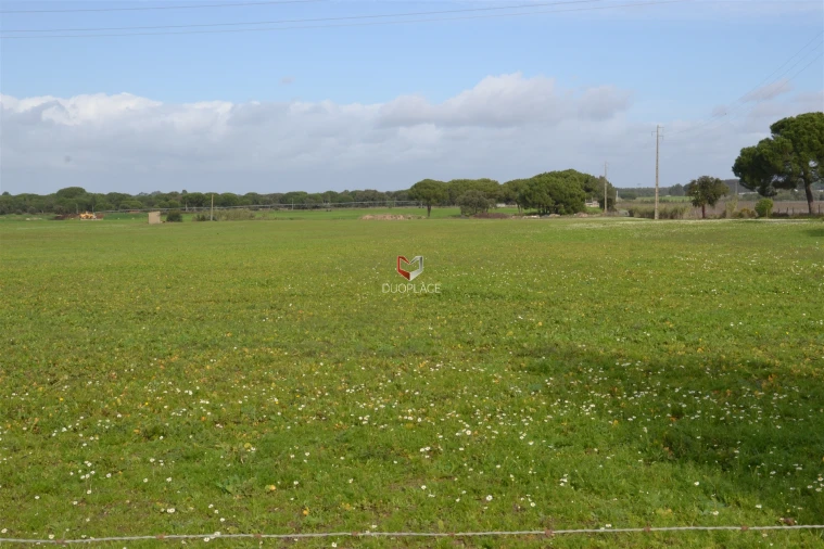 Terreno Agricola ou Rústico para Venda em Poceirão e Marateca Foto 5