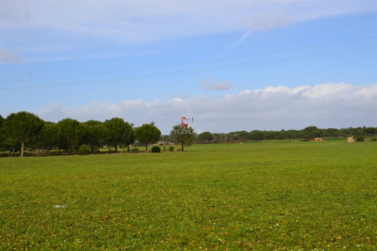 Terreno Agricola ou Rústico para Venda em Poceirão e Marateca Foto 8
