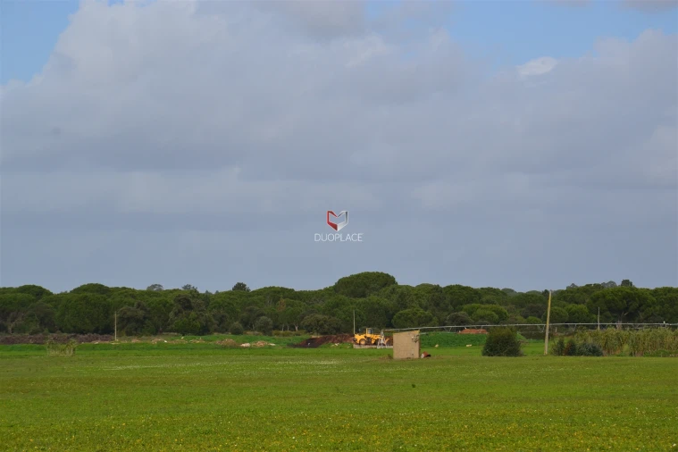 Terreno Agricola ou Rústico para Venda em Poceirão e Marateca Foto 24