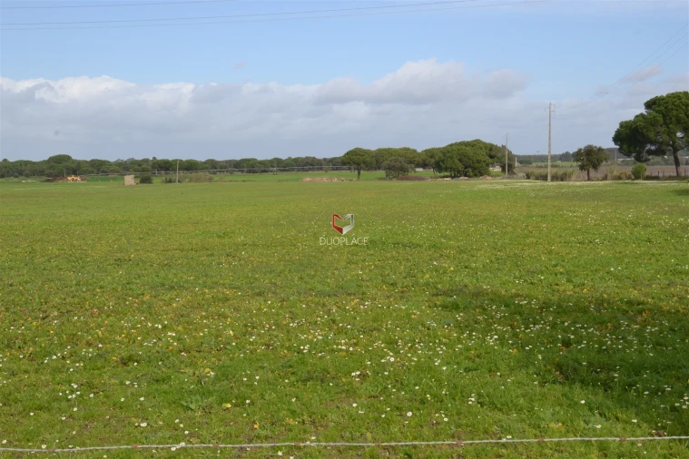 Terreno Agricola ou Rústico para Venda em Poceirão e Marateca