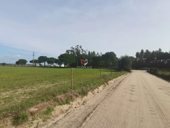 Terreno Agricola ou Rústico para Venda em Poceirão e Marateca Foto 32