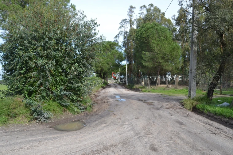 Terreno Agricola ou Rústico para Venda em Poceirão e Marateca Foto 4